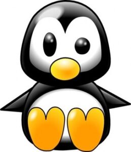 Kinderkarte farbig - gezeichneter niedlich aussehender Pinguin, Farben schwarz, weiß und gelb (Nase und Füße) kein Text.